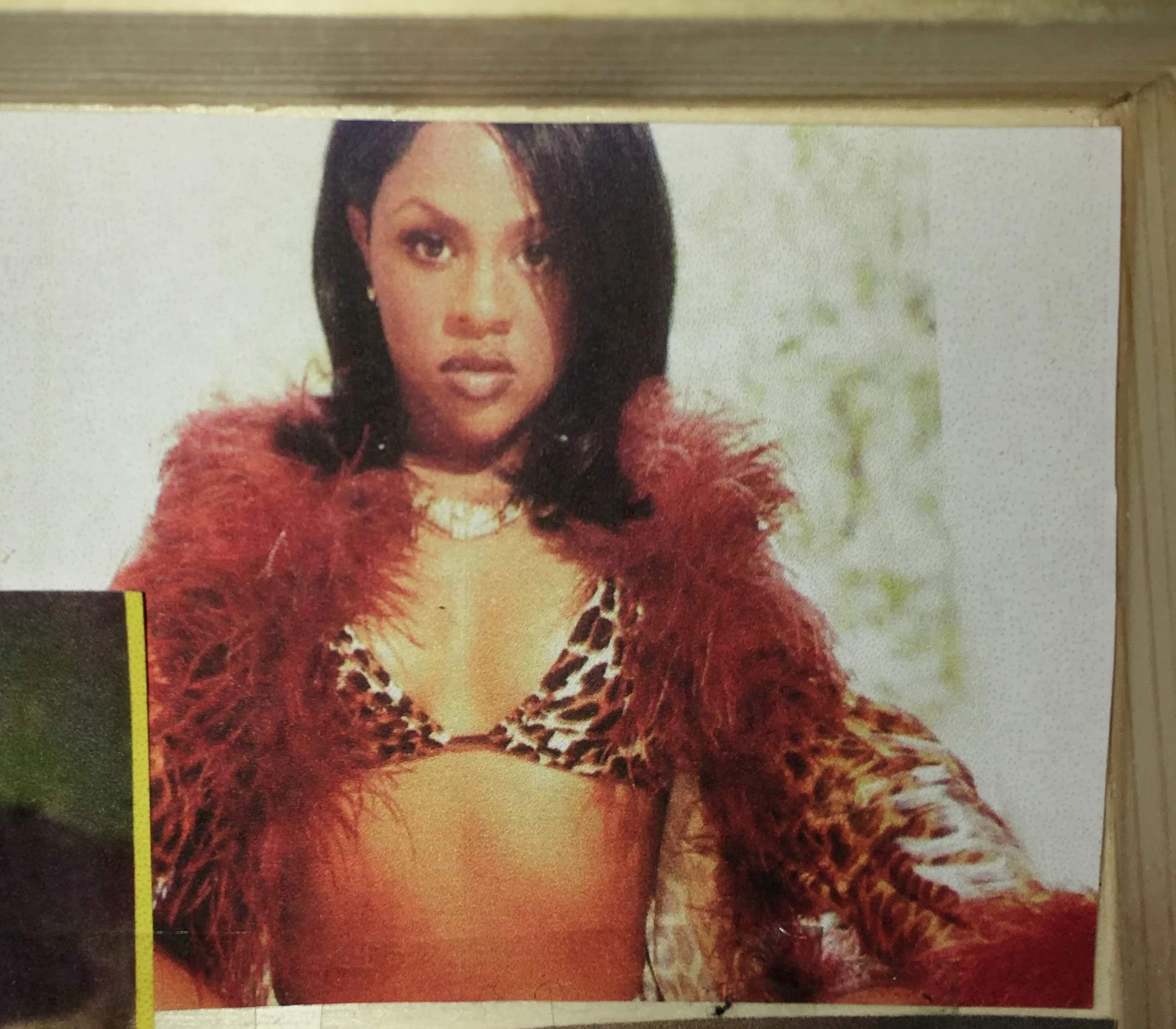 This is an image of Lil Kim from her debut album ‘Hardcore’. I placed this image in the kit not only because she’s one of my favorite rappers, but because she’s an iconic figure in hip-hop culture and New York culture.