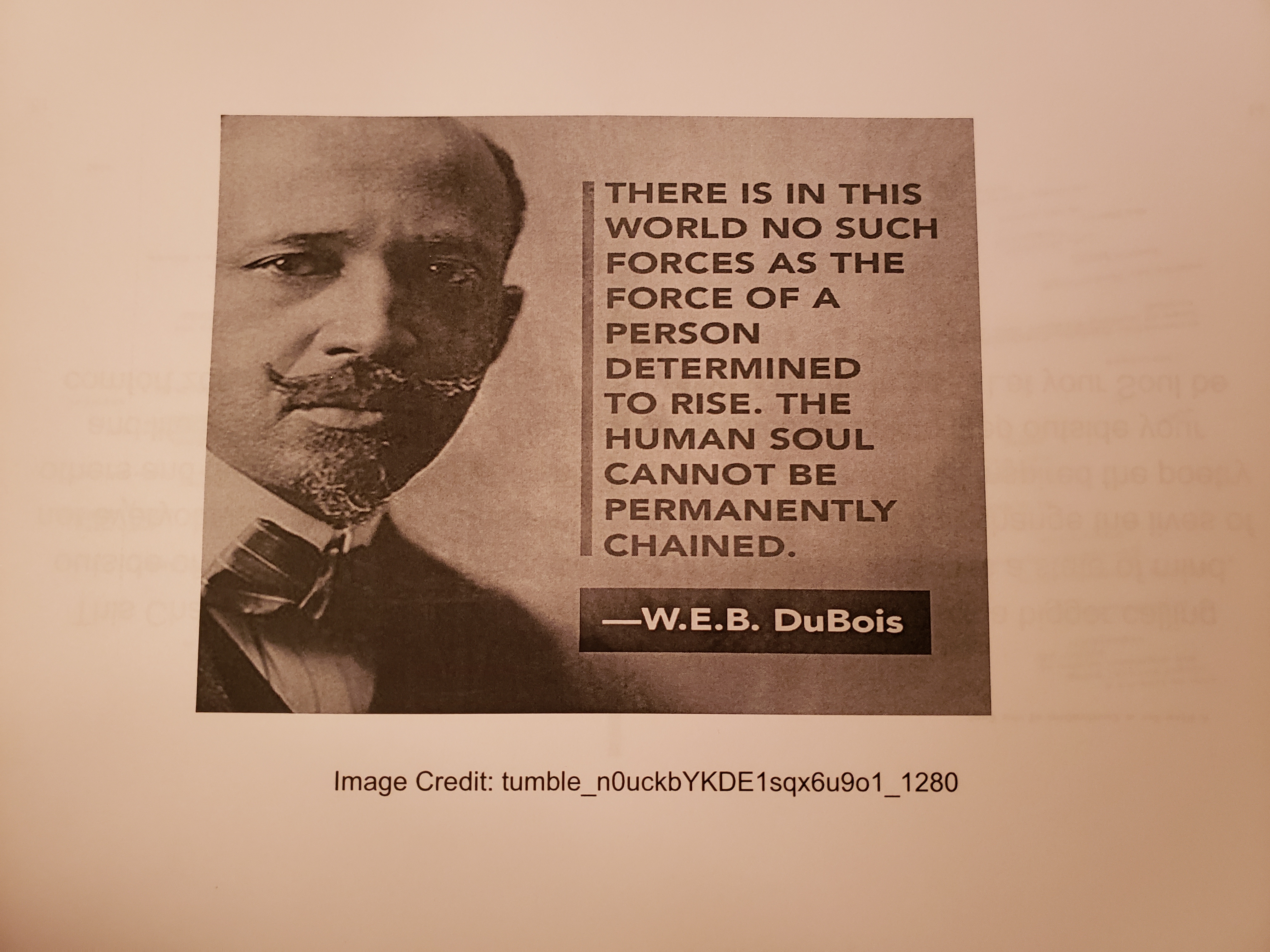 A quote from W.E.B DuBois