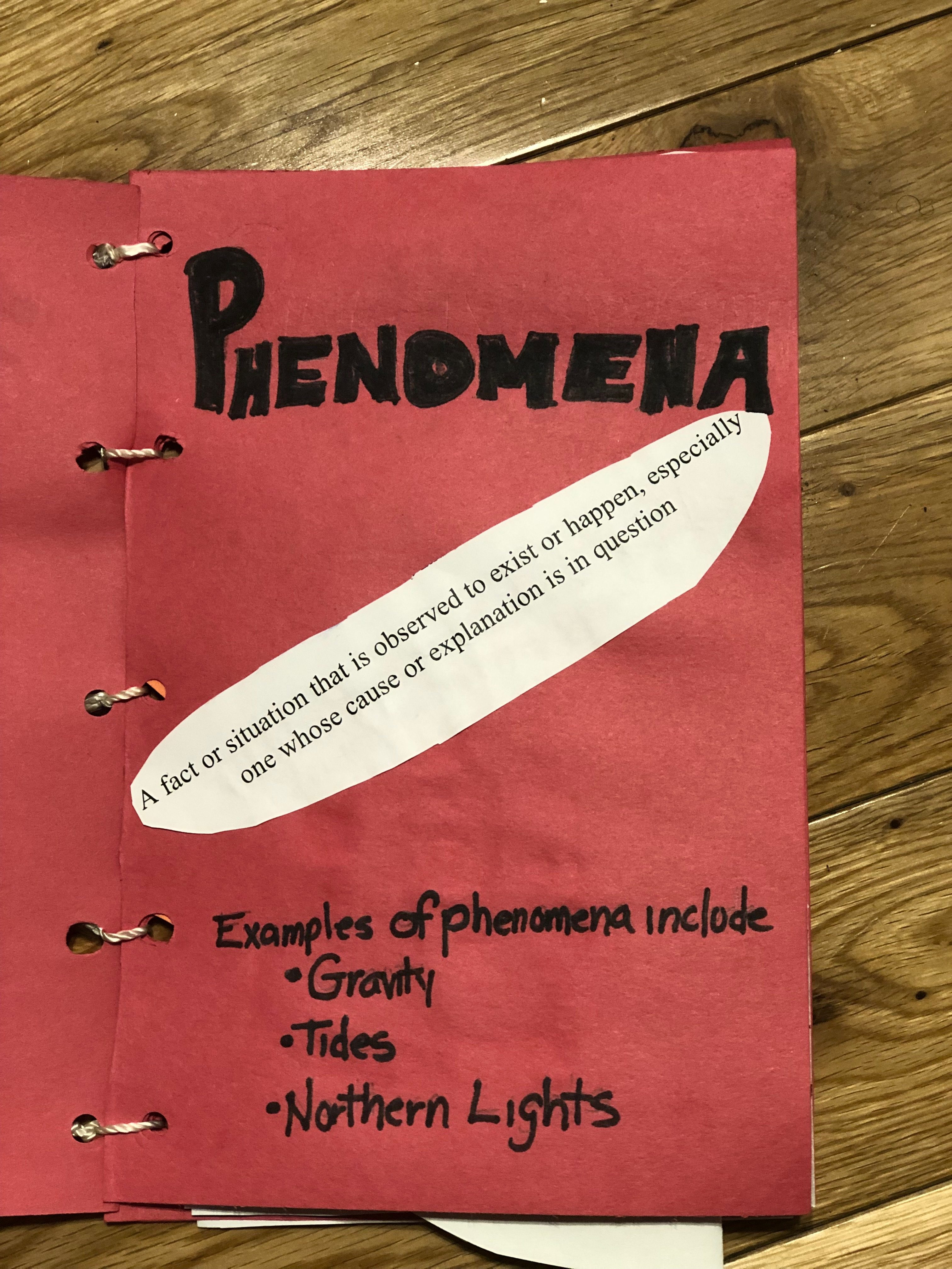 Page 1- What are Phenomena?