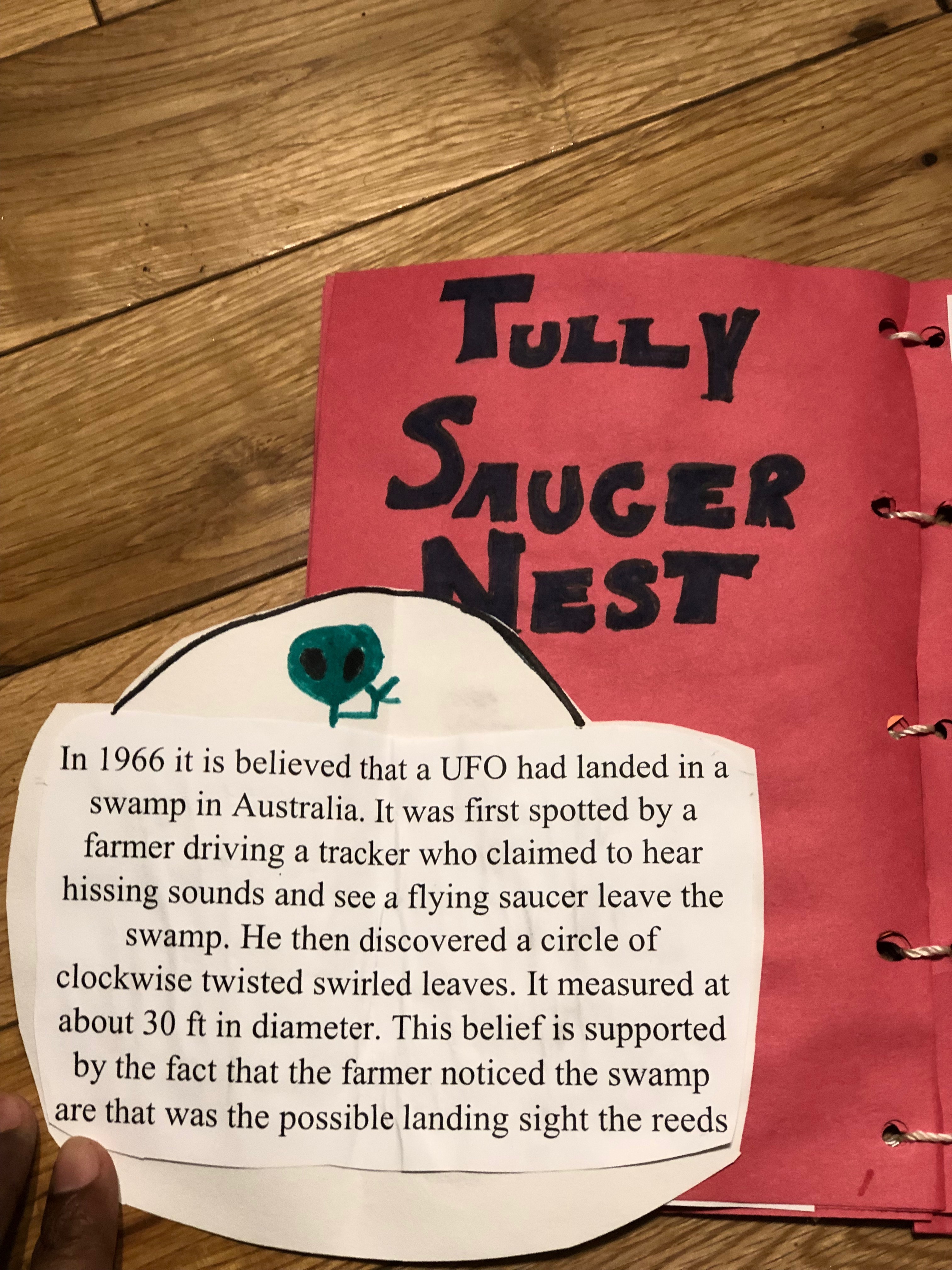 Page 4- Tully Saucer Nest